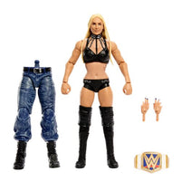 WWE Survivor Series Elite Action Figures